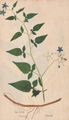 Ectypa vegetabilium Pl.058 (1760-1764)