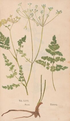 Ectypa vegetabilium Pl.066 (1760-1764)