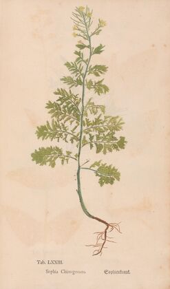 Ectypa vegetabilium Pl.073 (1760-1764)