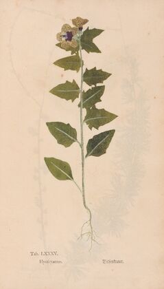Ectypa vegetabilium Pl.085 (1760-1764)
