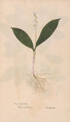 Ectypa vegetabilium Pl.087 (1760-1764)