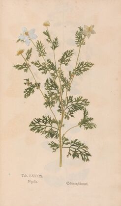Ectypa vegetabilium Pl.089 (1760-1764)