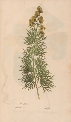 Ectypa vegetabilium Pl.104 (1760-1764)