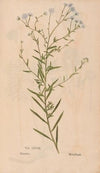 Ectypa vegetabilium Pl.118 (1760-1764)