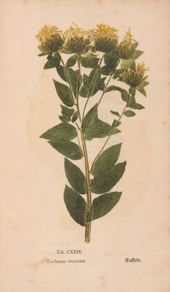 Ectypa vegetabilium Pl.129 (1760-1764)