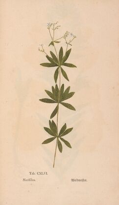 Ectypa vegetabilium Pl.146 (1760-1764)