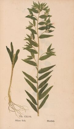 Ectypa vegetabilium Pl.147 (1760-1764)