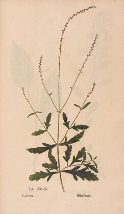 Ectypa vegetabilium Pl.149 (1760-1764)