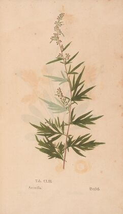 Ectypa vegetabilium Pl.153 (1760-1764)