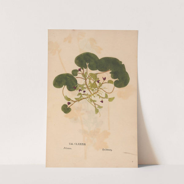 Ectypa vegetabilium Pl.182 (1760-1764) by Christian Gottlieb Ludwig