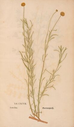 Ectypa vegetabilium Pl.198 (1760-1764) — size preview