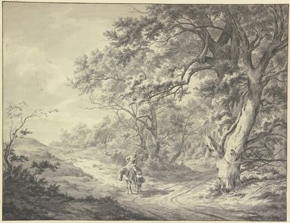 Edge of the forest near Haarlem