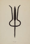 Eel Spear