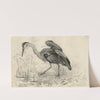 Een reiger aan de waterkant by Frans Smissaert