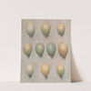 Eggs Of British Diving Ducks by Henrik Gronvold