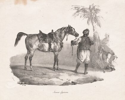 Egyptian Mare (1822)