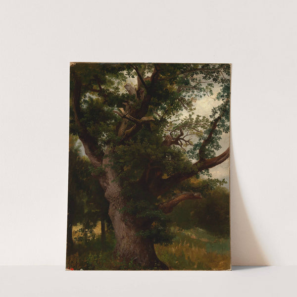 Eichbaum (1855-1860) by Johann Wilhelm Schirmer