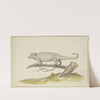 Eidechse oder Salamander nach links by Pieter Holsteijn
