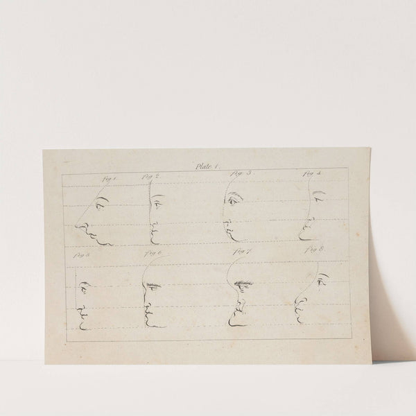 Andre Hercules de Fleury by Francois Chereau the elder