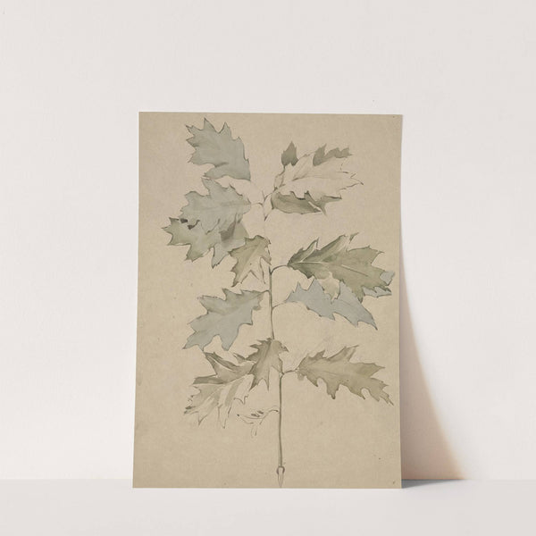 Eikentak met loof by Antoon Derkinderen