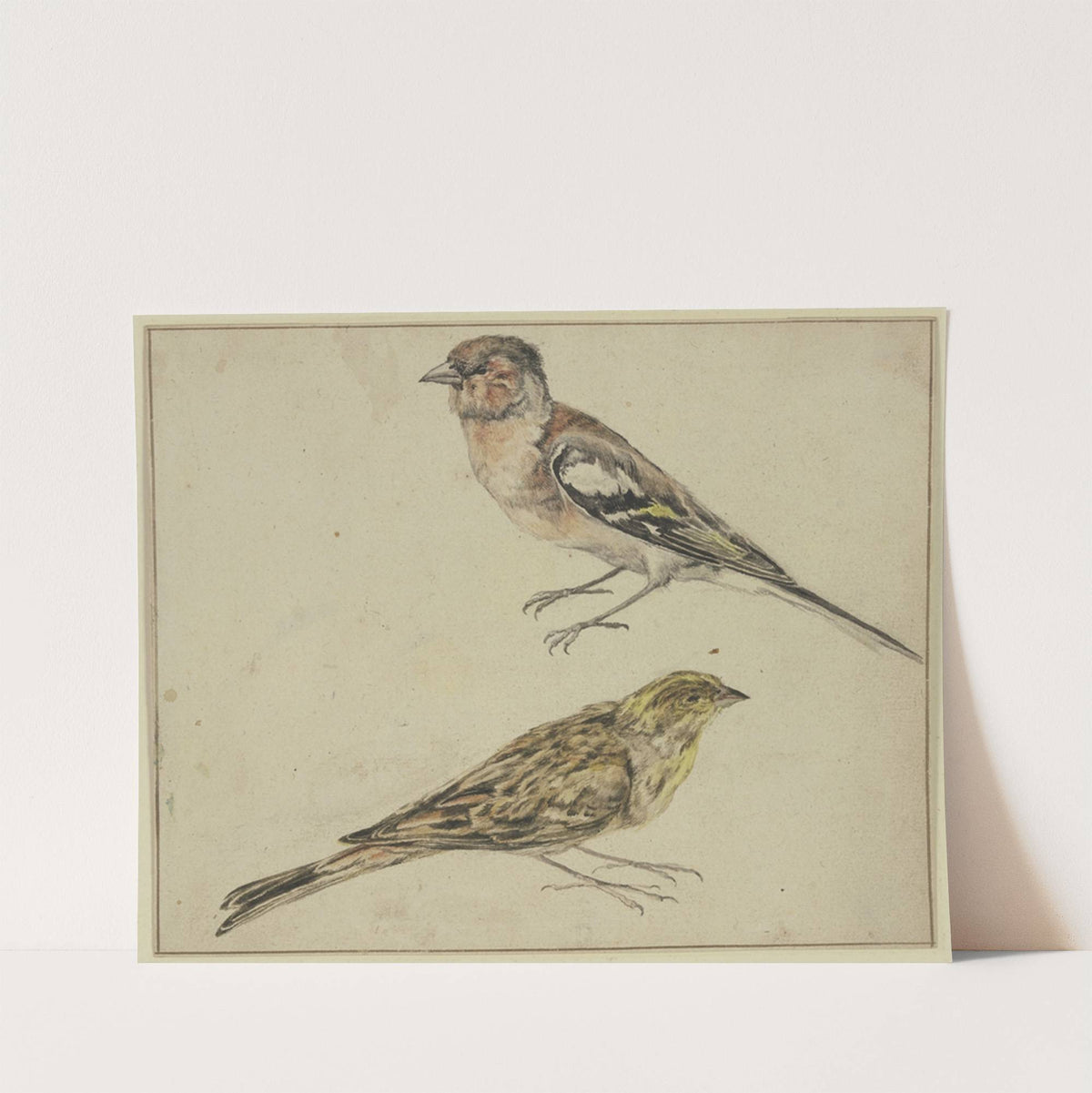 Ein Distelfink und ein Hänfling by Melchior d'''Hondecoeter