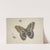 Ein großer brauner Schmetterling, zwei kleine und ein Insekt by Herman Henstenburgh