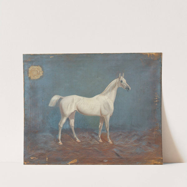 Ein Schimmel by Hema A. Groy