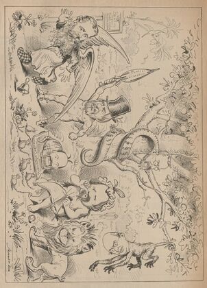Ein Vorschlag zur Budget-Debatte (1881)