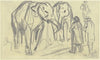 Elefanten (Circus Krone)