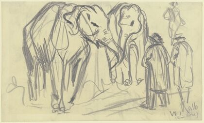 Elefanten (Circus Krone)