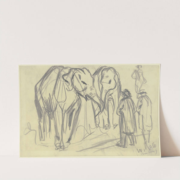 Elefanten (Circus Krone) by Wilhelm Kalb