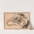 Elephant (1856-1897) by Henri-Charles Guérard