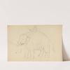 Elephant with Rider by James Sowerby