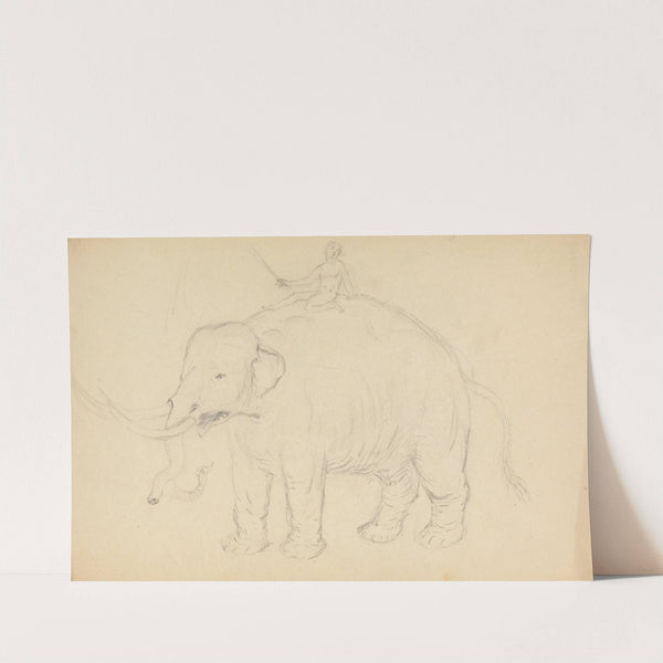 Elephant with Rider by James Sowerby