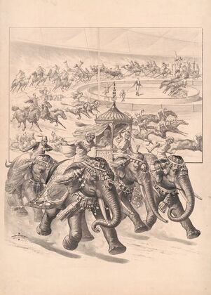 Elephants, horses, giraffes & camels with riders (1898) — size preview