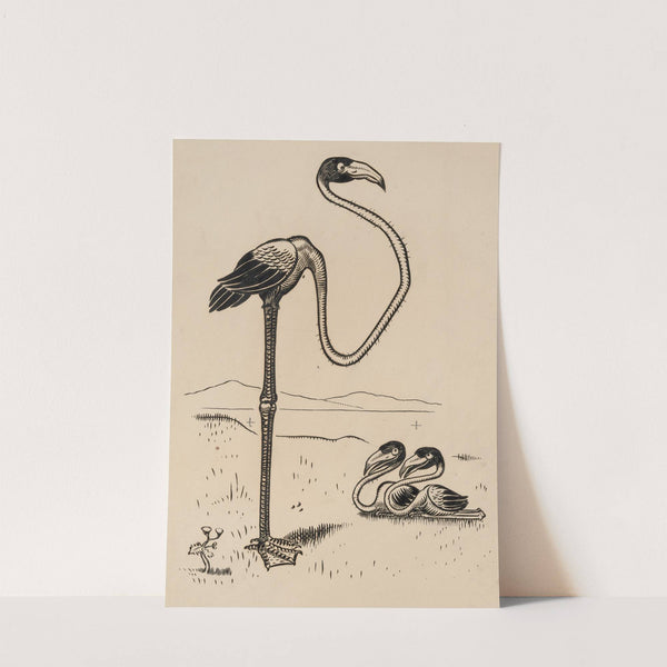 Eleven comic strip frames of flamingo shaping figures with its long neck Pl.3 by Franklin Morris Howarth
