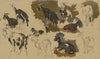 Eleven goats