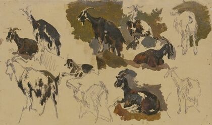 Eleven goats