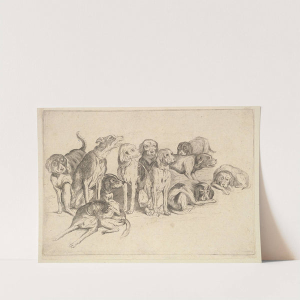Eleven Hounds (1647) by Wenceslaus Hollar