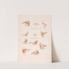 Eleven mouths in different expressions (1749-1849) by Louis-François Roubiliac