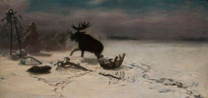 Elk fighting the wolves (1900s)