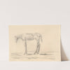 Emaciated Horse by Cyprián Majerník