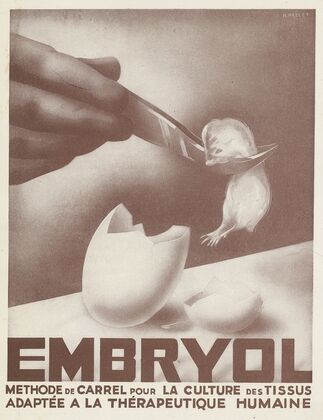 Embryol (1910-1950)