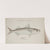 Emmelichthys nitidus by Frank Edward Clarke