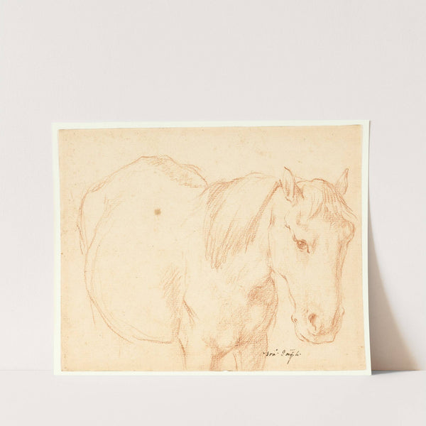 En hest by Francesco Fernandi
