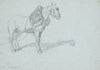 En hest