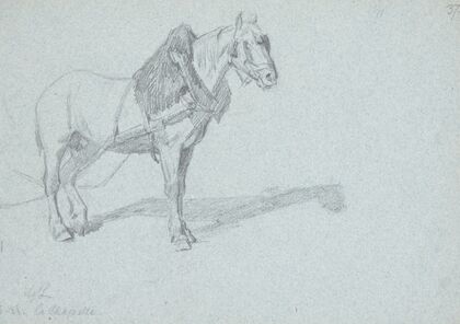 En hest