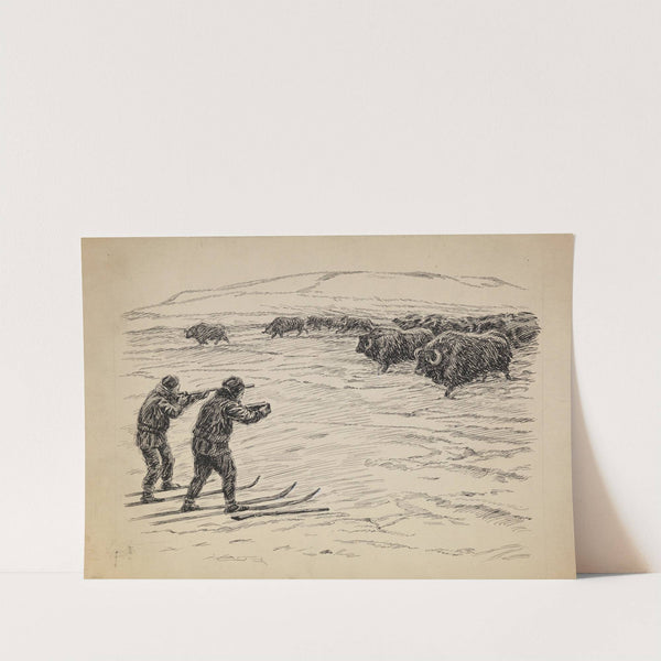 En jeger og en fotograf foran en flokk moskusfe (1889) by Eivind Nielsen