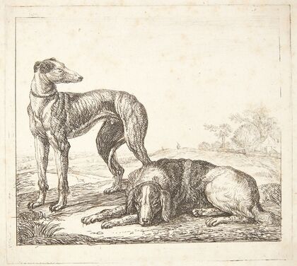 En mynde og en liggende hund