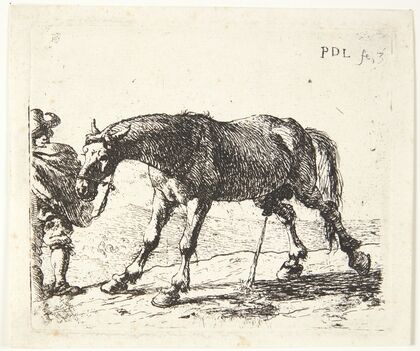 En pissende hest